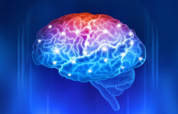 rewire your brain for success your youniverse