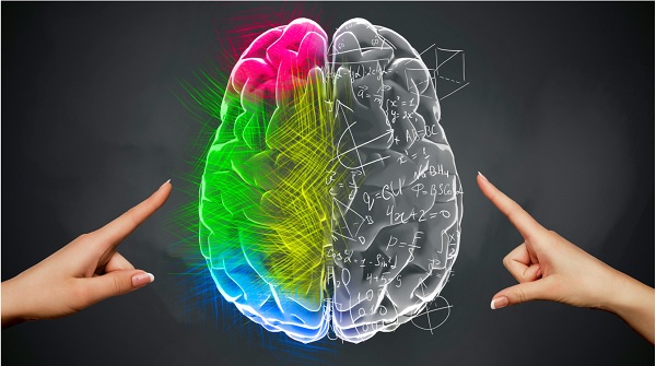 whole_brain_functioning